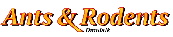 Dundalk Ant Exterminator & Rodent Control Company Logo